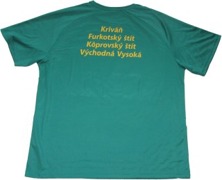 Shirt 2011 backsite